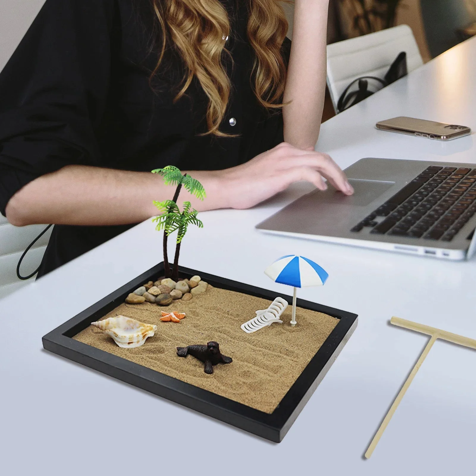 Kit Complet Mini Jardin Zen