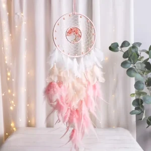 Attrape Reve Blanc Et Rose