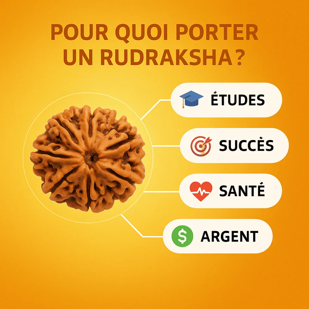 Mala avec perles de Rudraksha